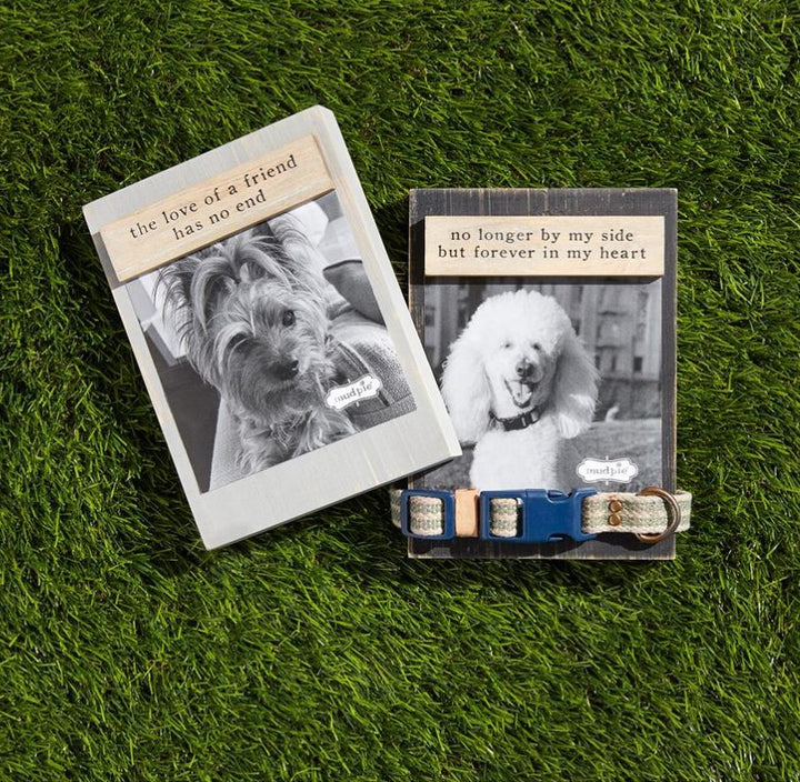 Dog Collar Keepsake Frames