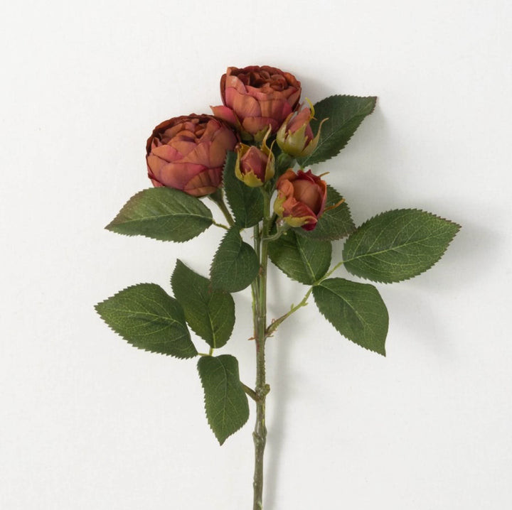 Red and Orange Blooming Rose Spray