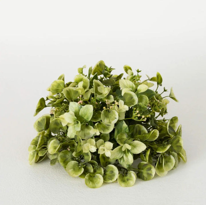 Eucalyptus & Mint Leaf Orb