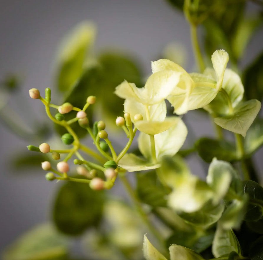 Eucalyptus & Mint Leaf Orb