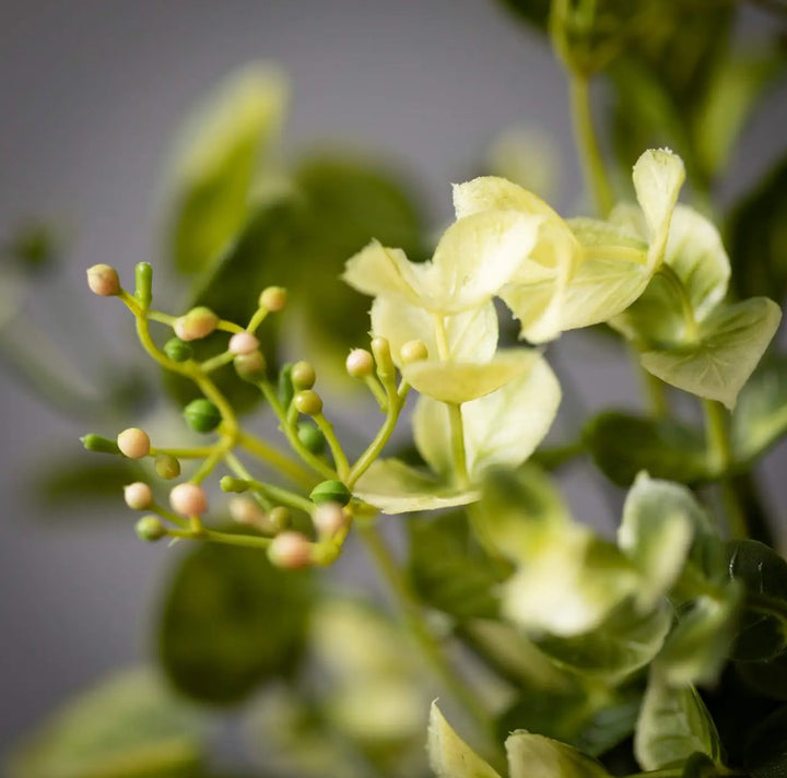 Eucalyptus & Mint Leaf Orb