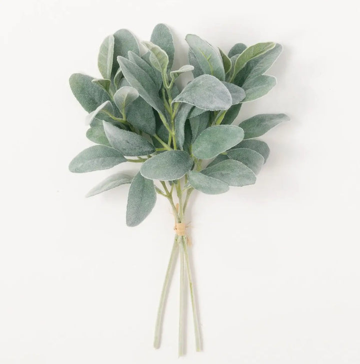 Lamb's Ear Bundle