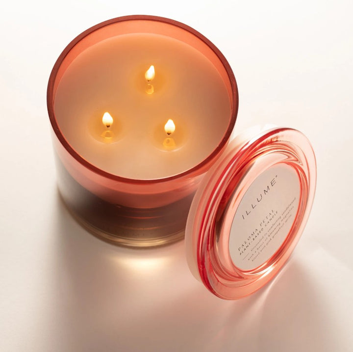 Paloma Petal Statement Glass Candle