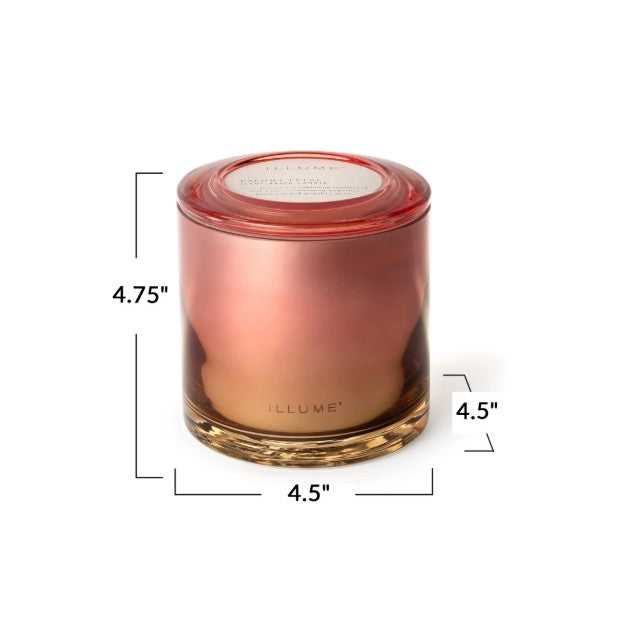 Paloma Petal Statement Glass Candle