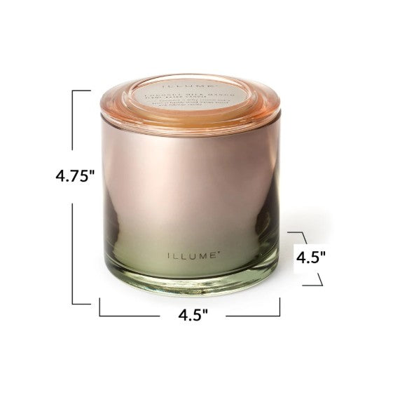 Coconut Milk Mango Statement Glass Candle