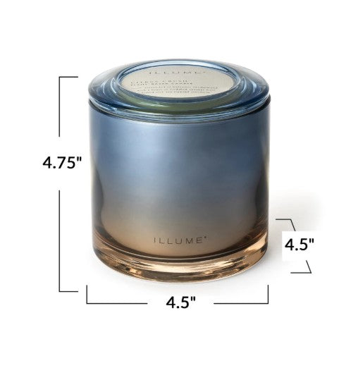 Citrus Crush Statement Glass Candle