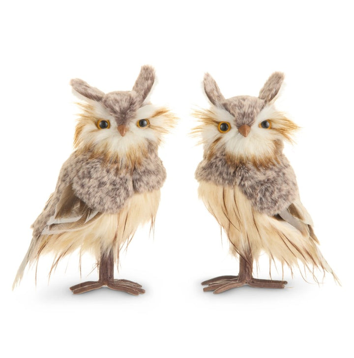 Brown Owls