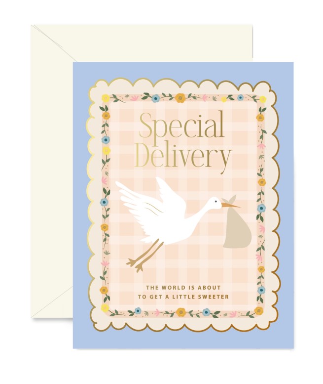 Stork Special Delivery Greeting Card