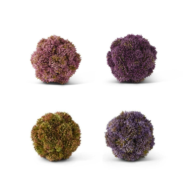 Sedum Ball