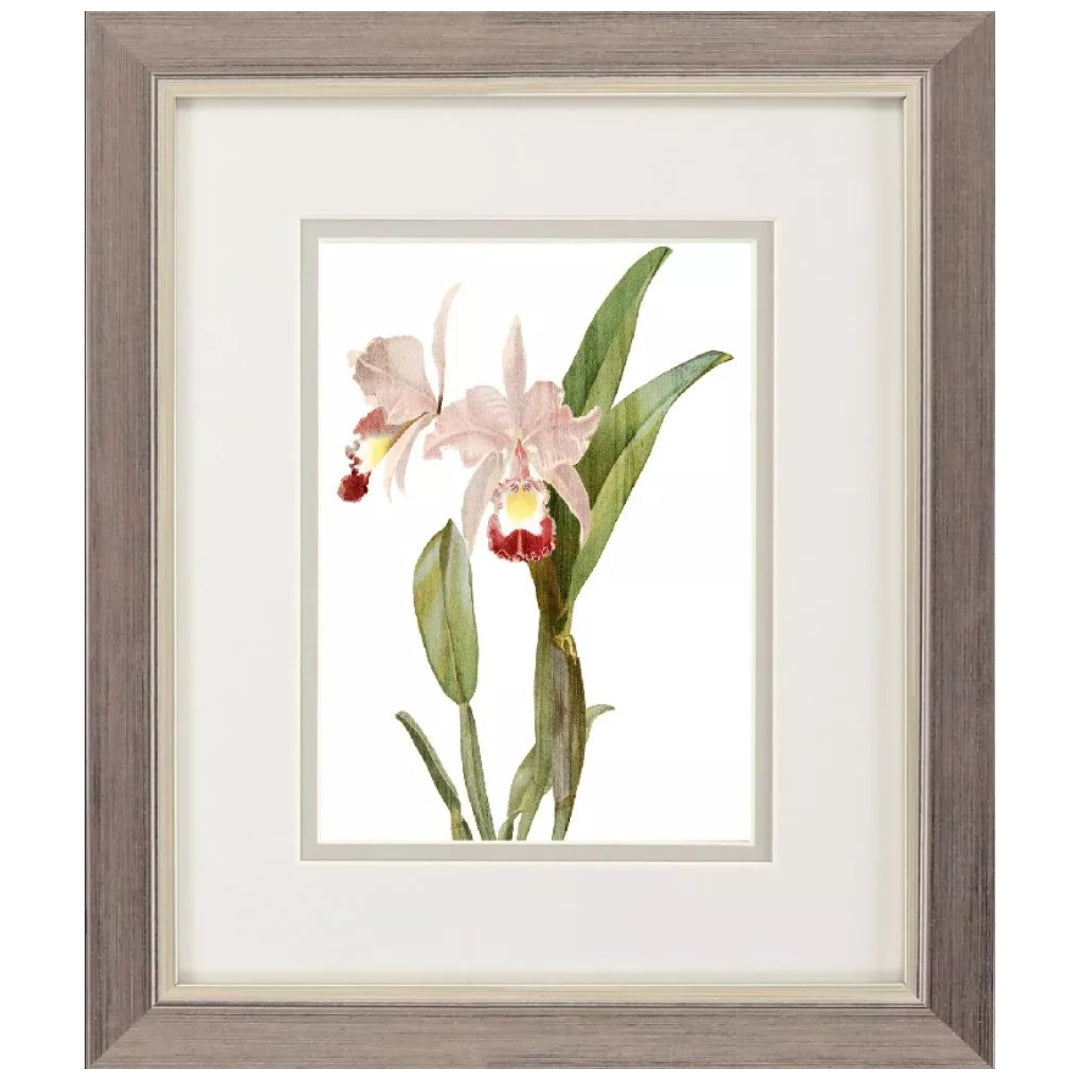 Floral Beauty Framed Artwork