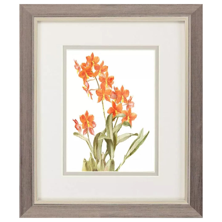 Floral Beauty Framed Artwork