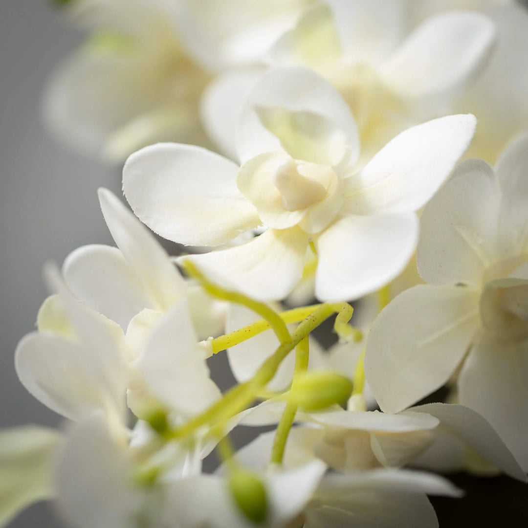 Cream Mini Orchid Spray