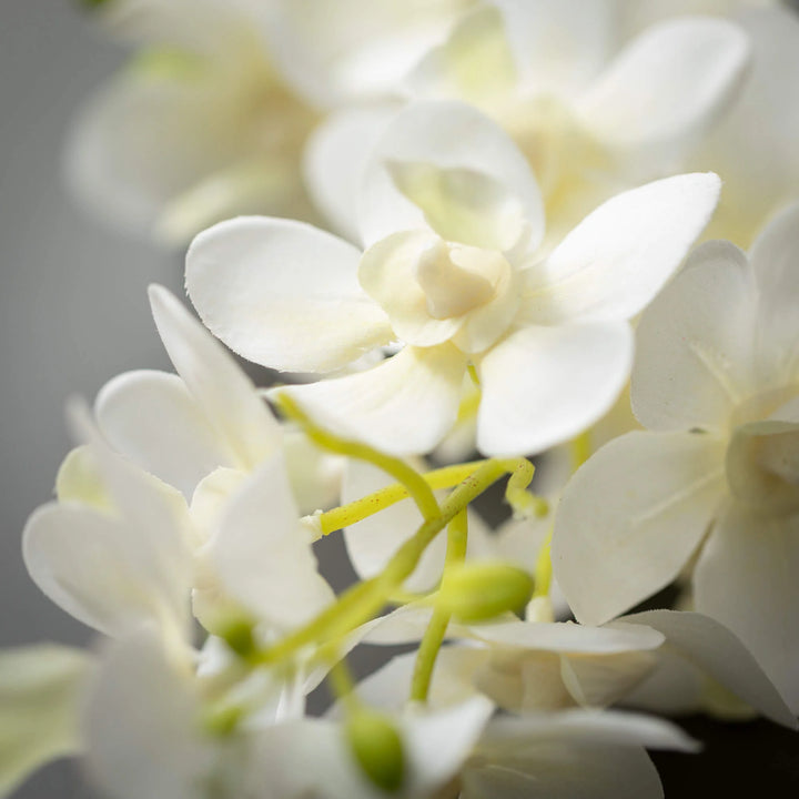 Cream Mini Orchid Spray