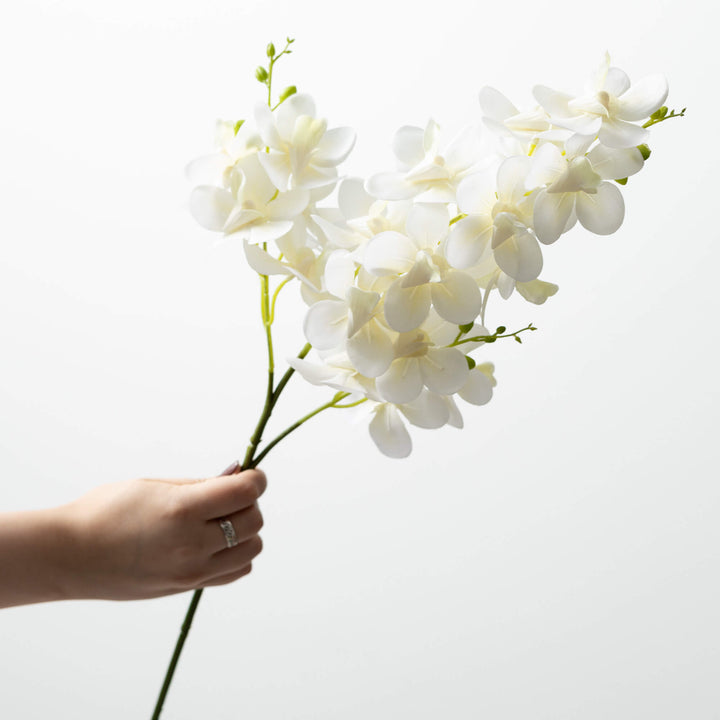 Cream Mini Orchid Spray