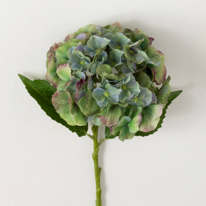 Green Marbled Hydrangea Stem