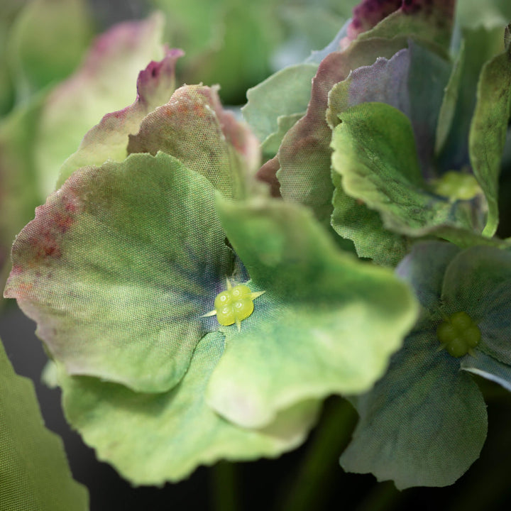 Green Marbled Hydrangea Stem