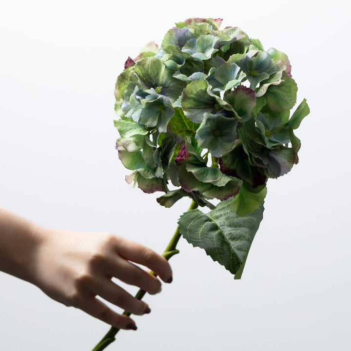 Green Marbled Hydrangea Stem