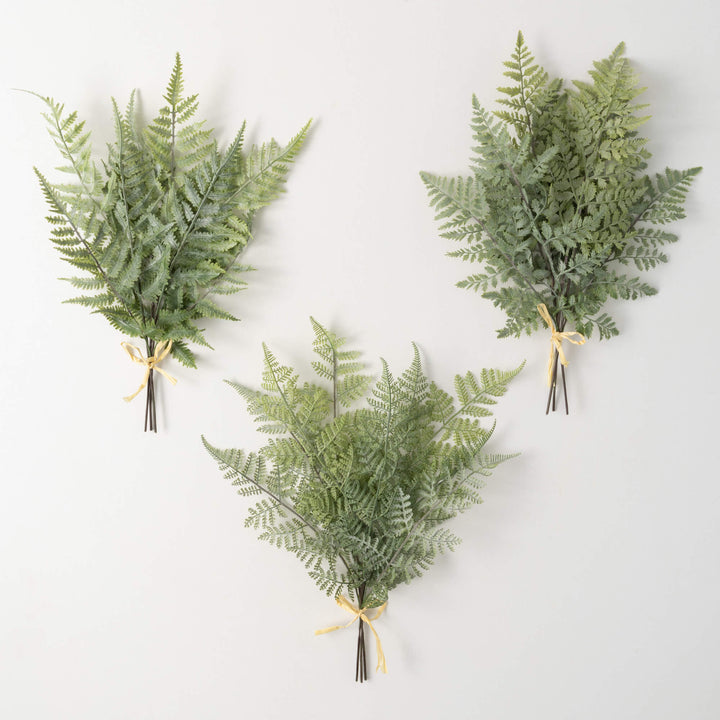 Green Fern Bushes