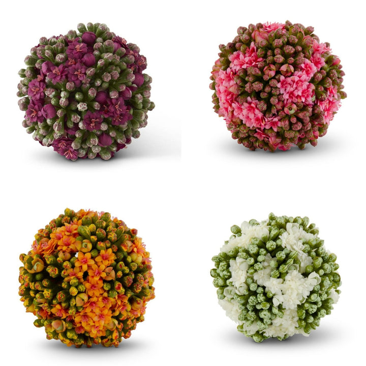 Kalanchoe Ball