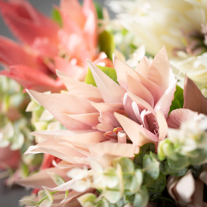 Lotus Blossom Bush