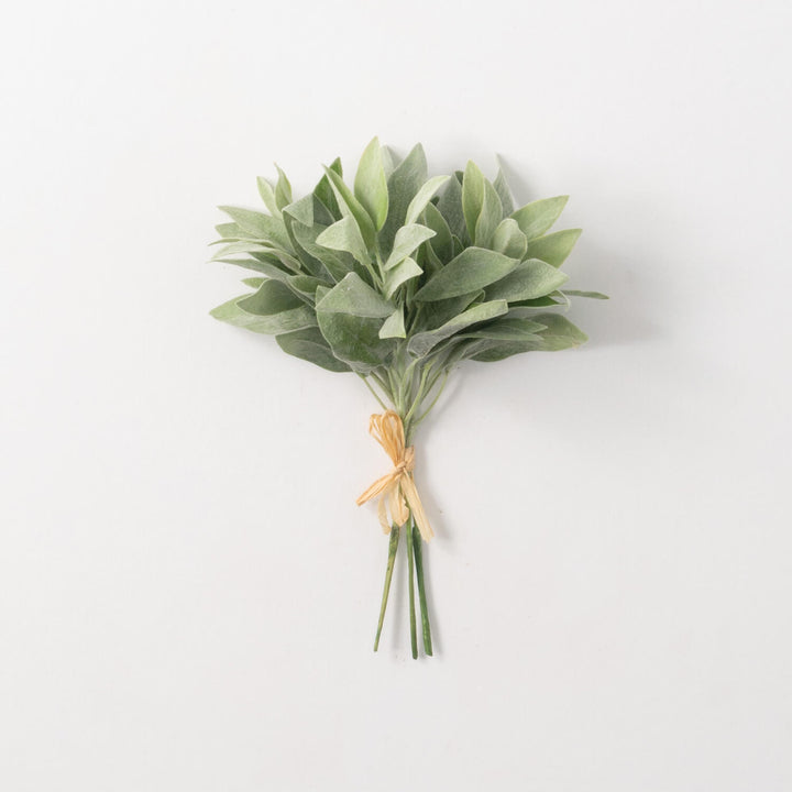 Sage Bundle