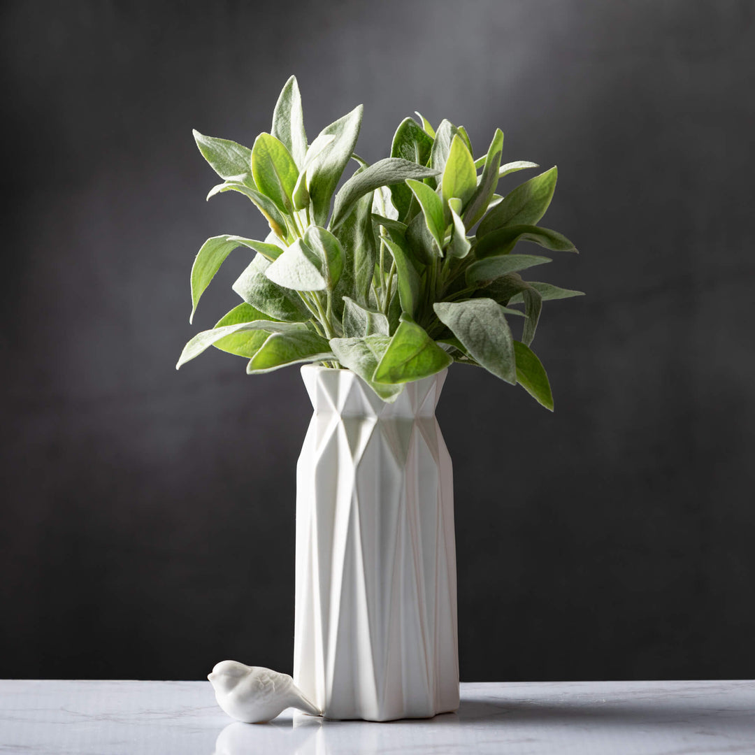 Sage Bundle