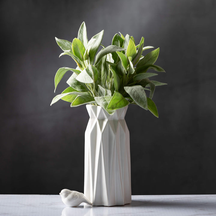 Sage Bundle