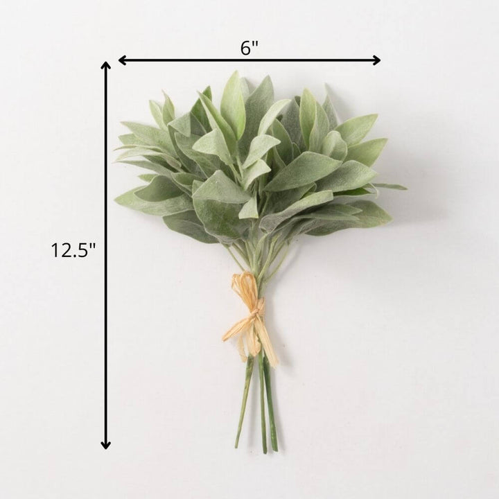 Sage Bundle