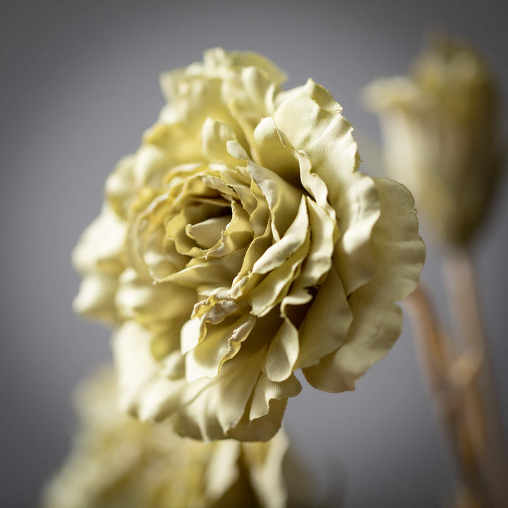 Soft Green Lisianthus Spray