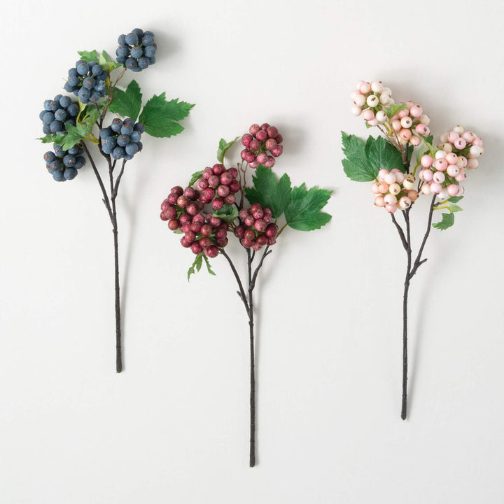 Spring Berry Bushes