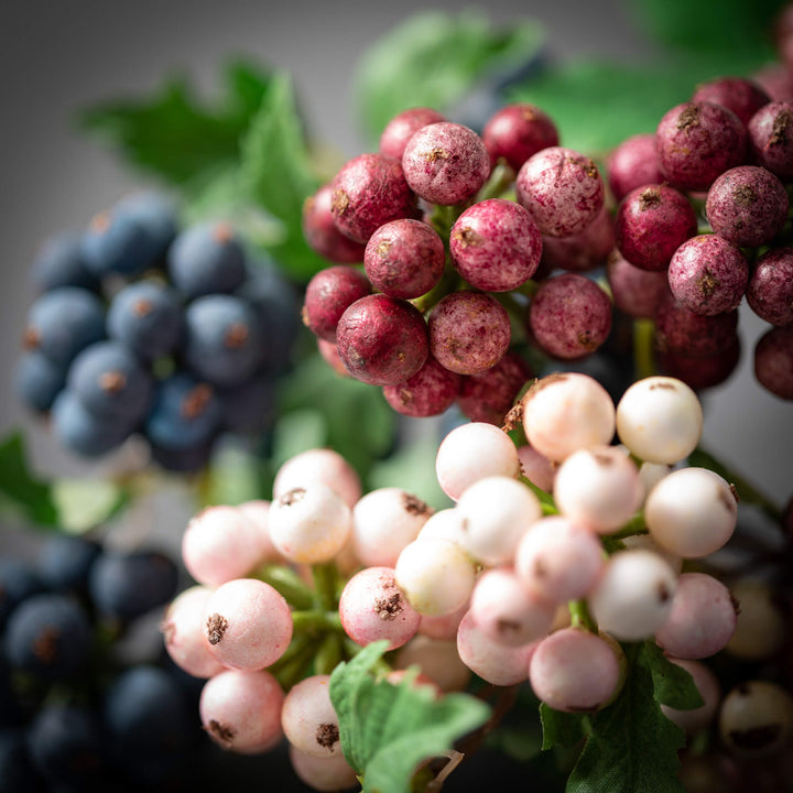 Spring Berry Bushes