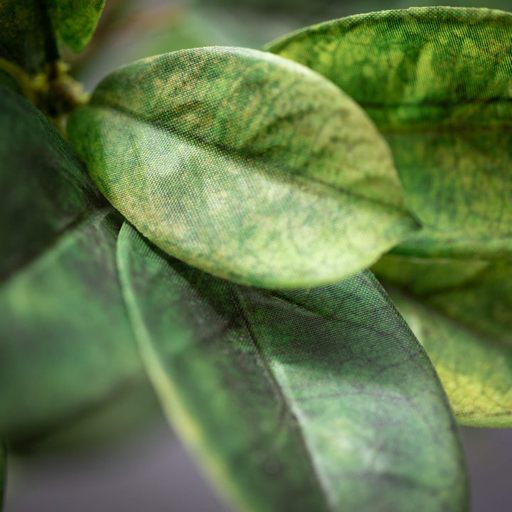 Laurel Leaf Spray