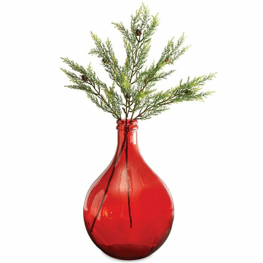 Red Carafe Glass Vase