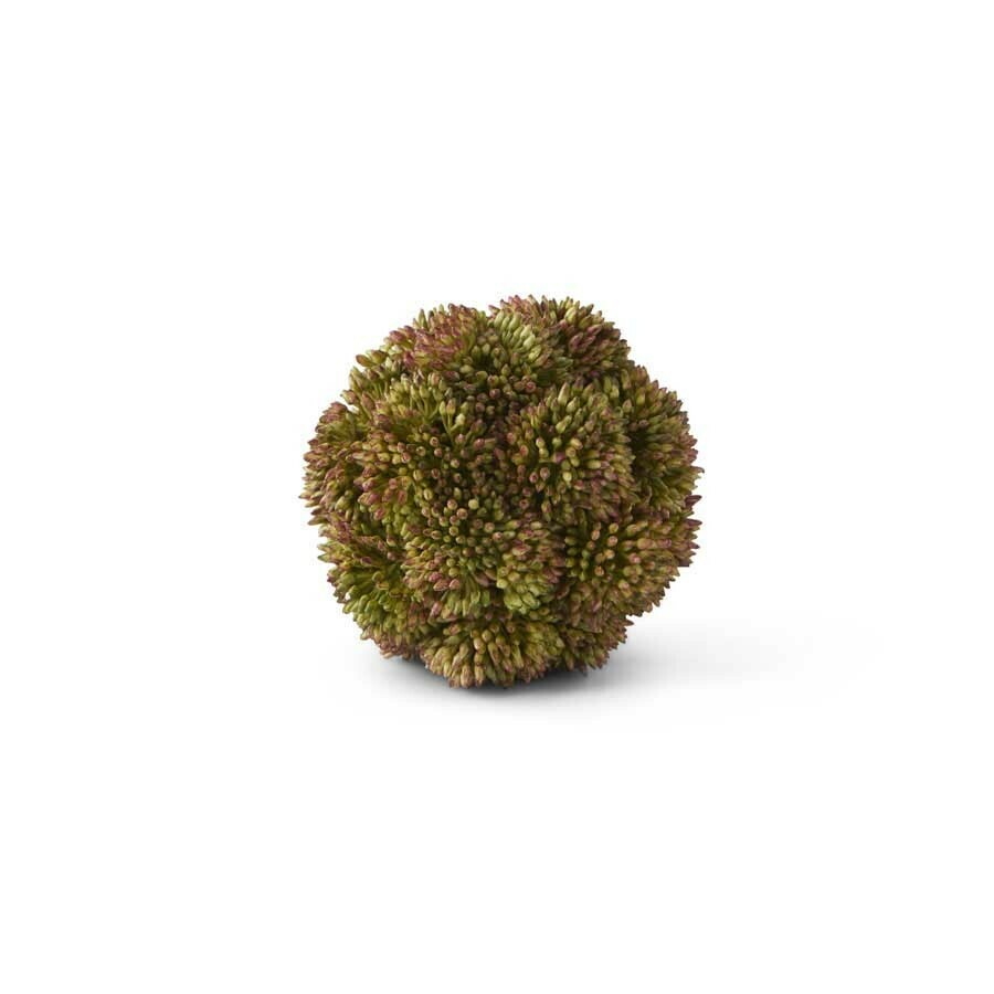 Sedum Ball