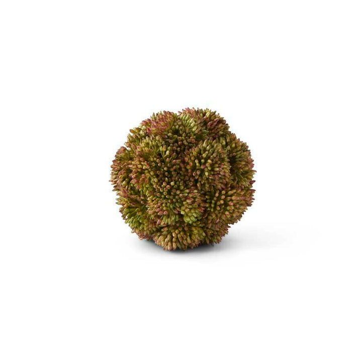 Sedum Ball