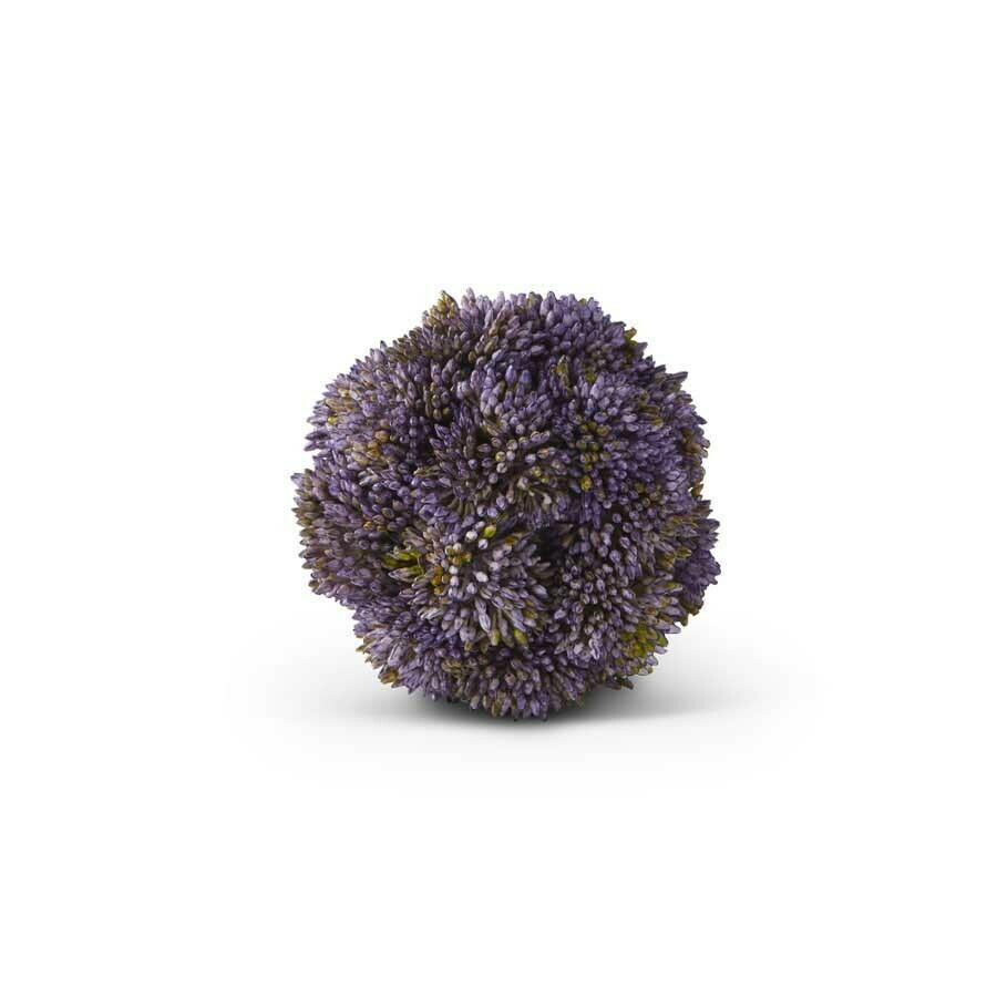 Sedum Ball