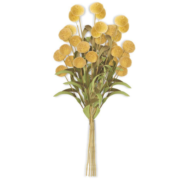 Pompom Bundle