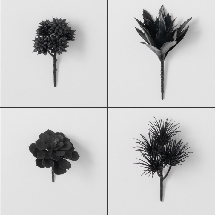 Black Succulent Pick