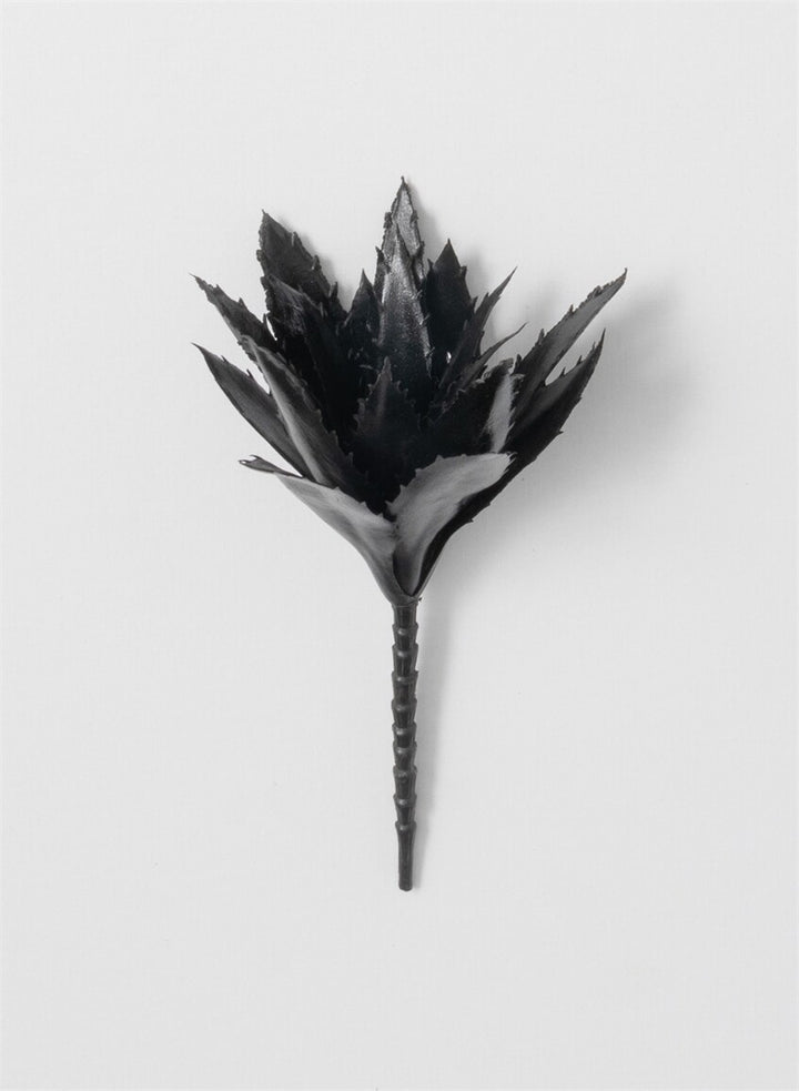 Black Succulent Pick