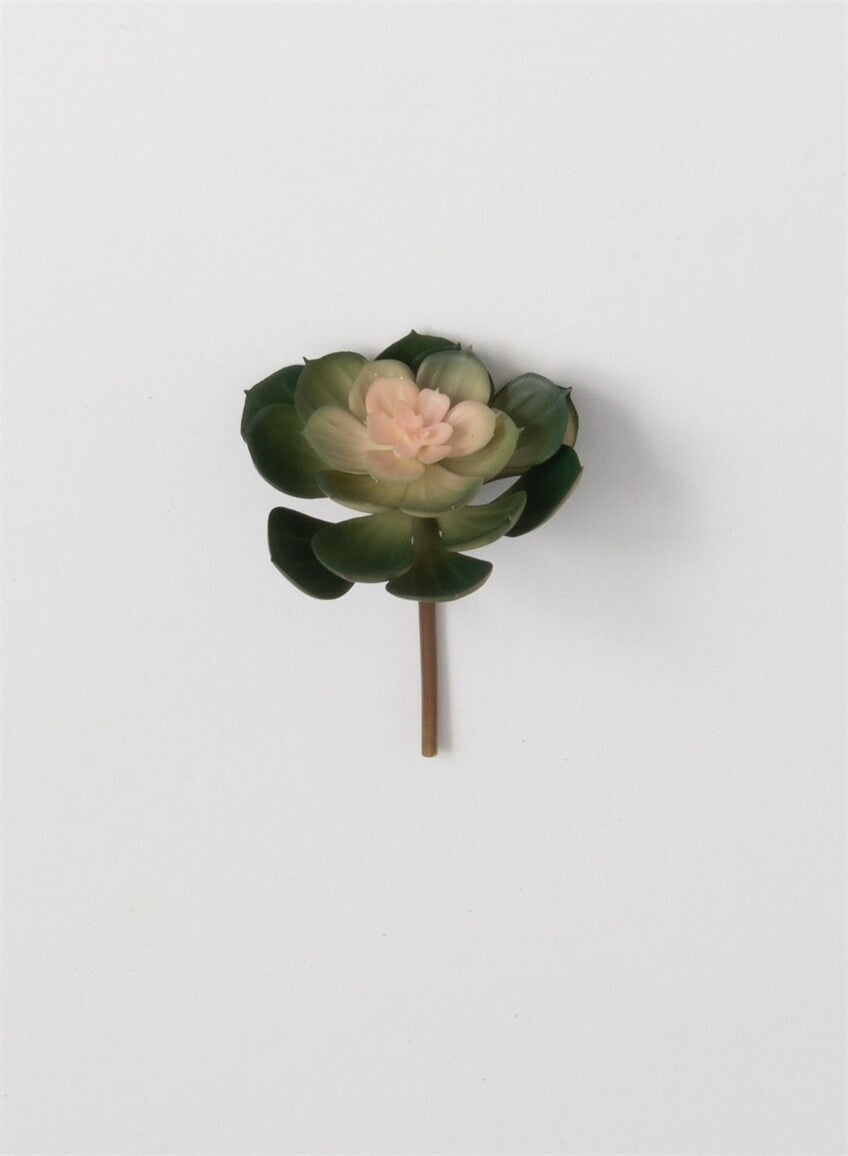 Succulent Pick Multi