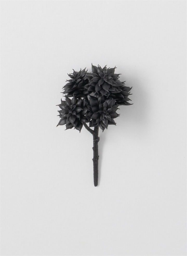 Black Succulent Pick
