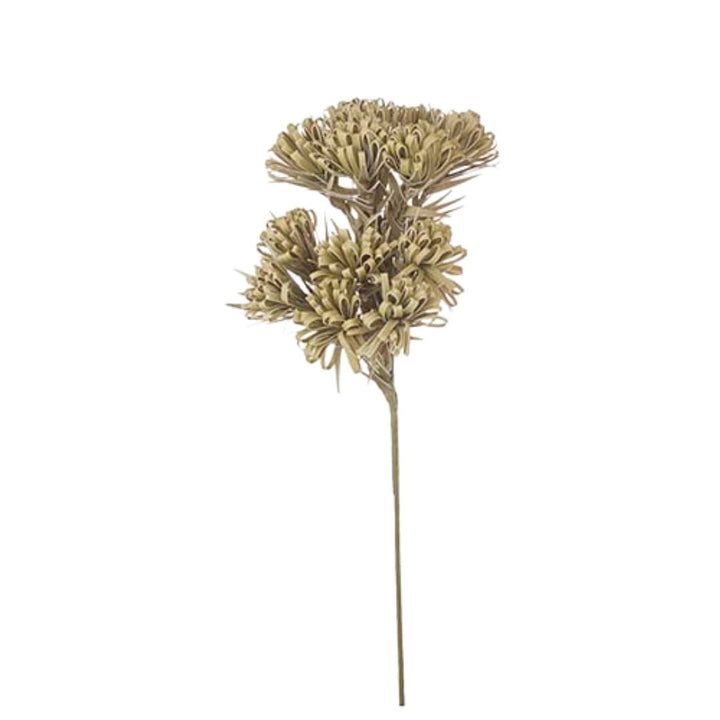 Thistle Spray