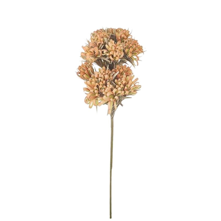 Thistle Spray