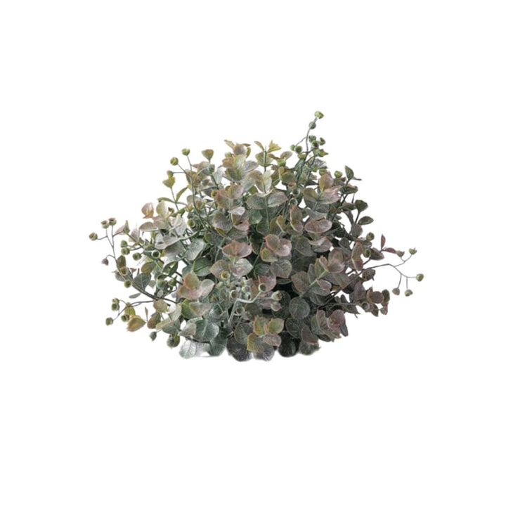 Eucalyptus Orb