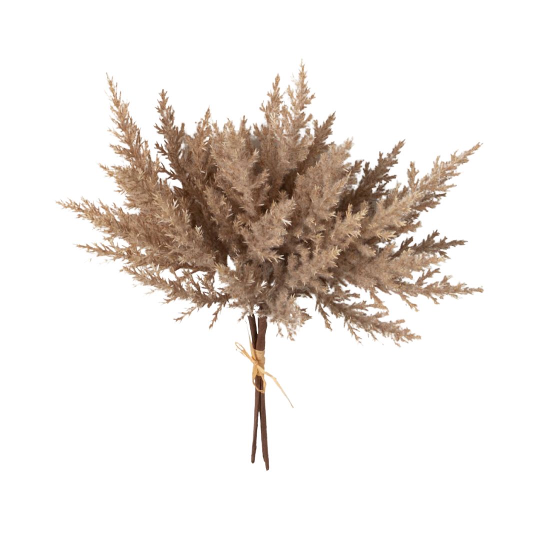 Pampas Grass Bush Bundles