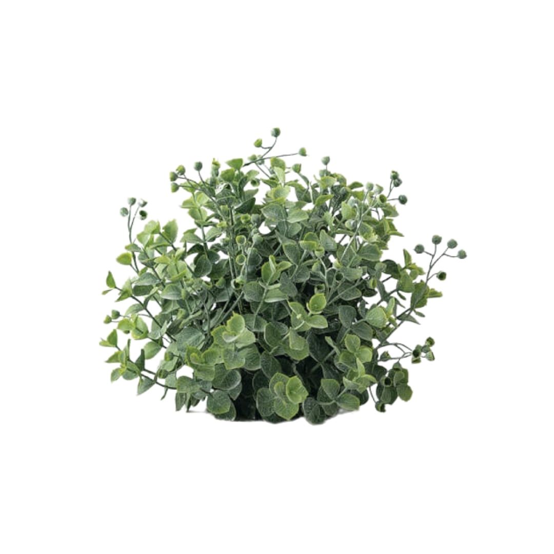 Eucalyptus Orb