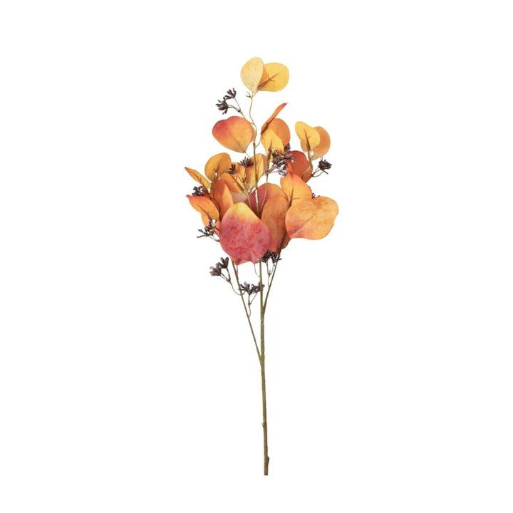 Autumn Eucalyptus Spray