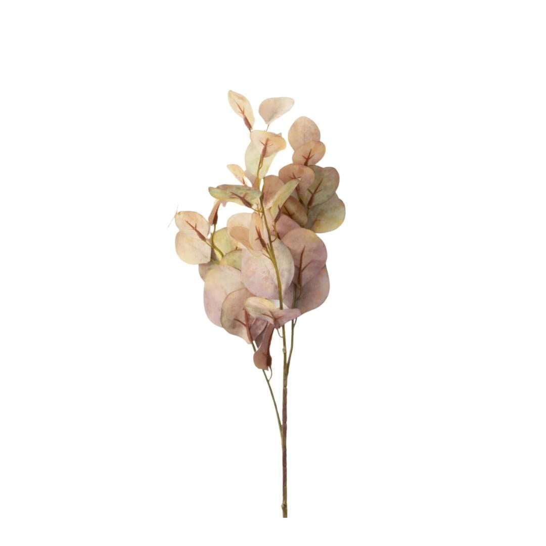 Autumn Eucalyptus Spray