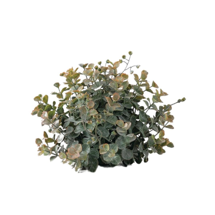 Eucalyptus Orb