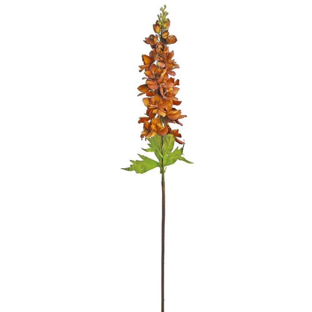 Rust Autumn Delphinium